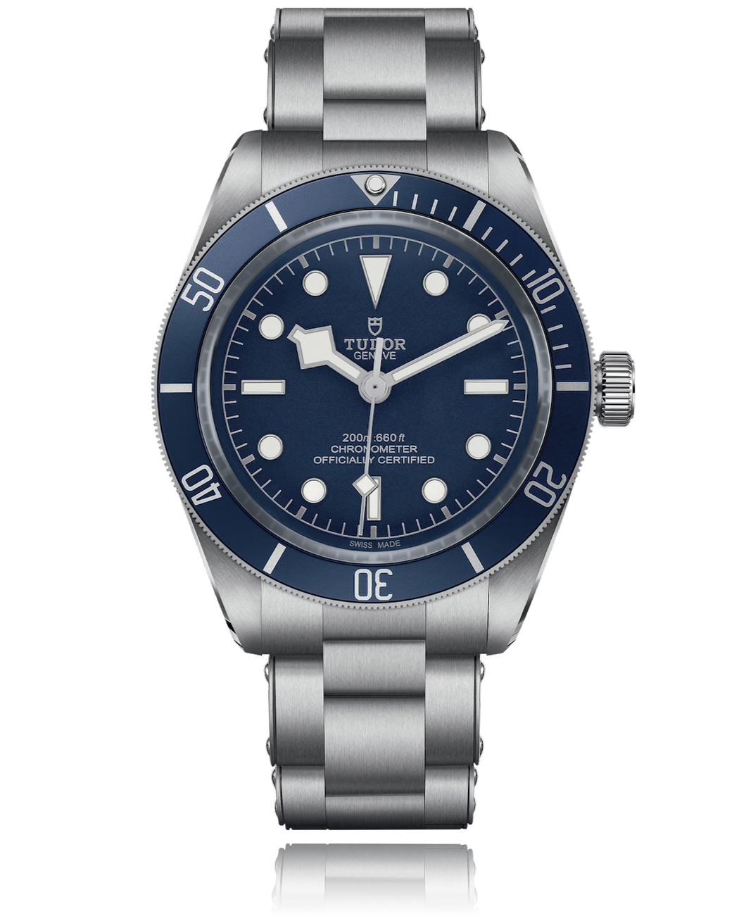 Tudor black bay